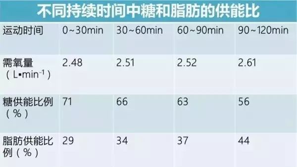 马拉松赛前两周安排_马拉松赛前两周_马拉松赛前一周训练表