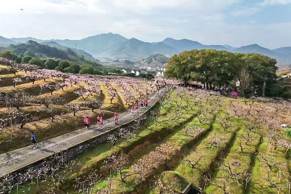 奉化马拉松_马拉松奉化桃花_马拉松奉化冠军