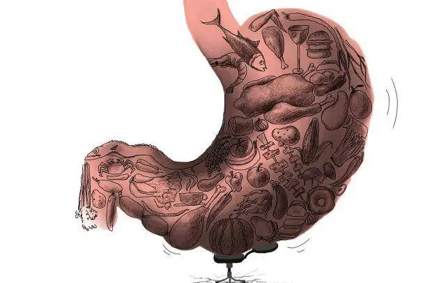 饭后运动的危害_饭后立即运动_饭后运动好还是饭前运动好减肥