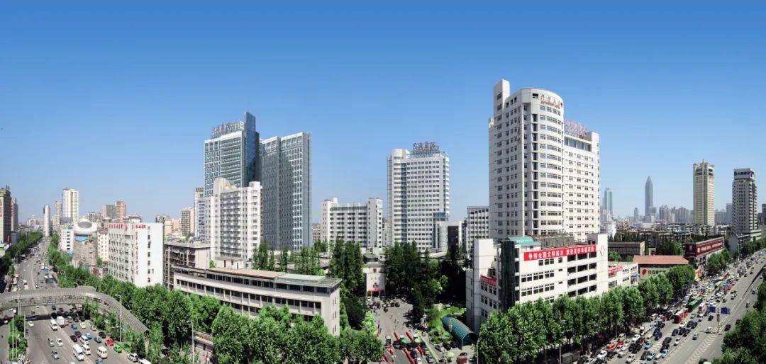 支配声带的肌肉_支配声带运动的神经_支配发声的神经