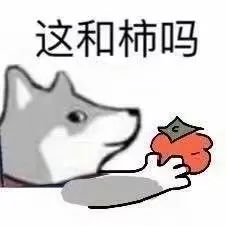 女性去健身房_女人健身房健身_女性进健身房如何进行入门级
