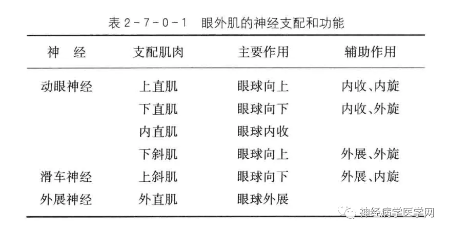 眼球运动障碍_眼球运动障碍怎么训练_眼球障碍运动能治好吗