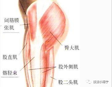 运动髌骨带怎么用_髌骨运动_运动髌骨带有用吗