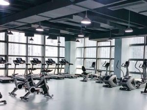 企事业健身房_健身房产业链_健身房发展
